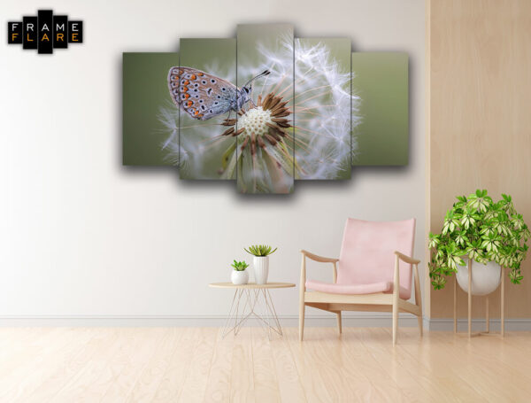 Butterfly 1